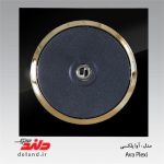 فیش آنتن